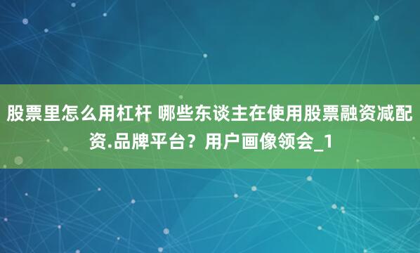股票里怎么用杠杆 哪些东谈主在使用股票融资减配资.品牌平台?用户画像领会_1